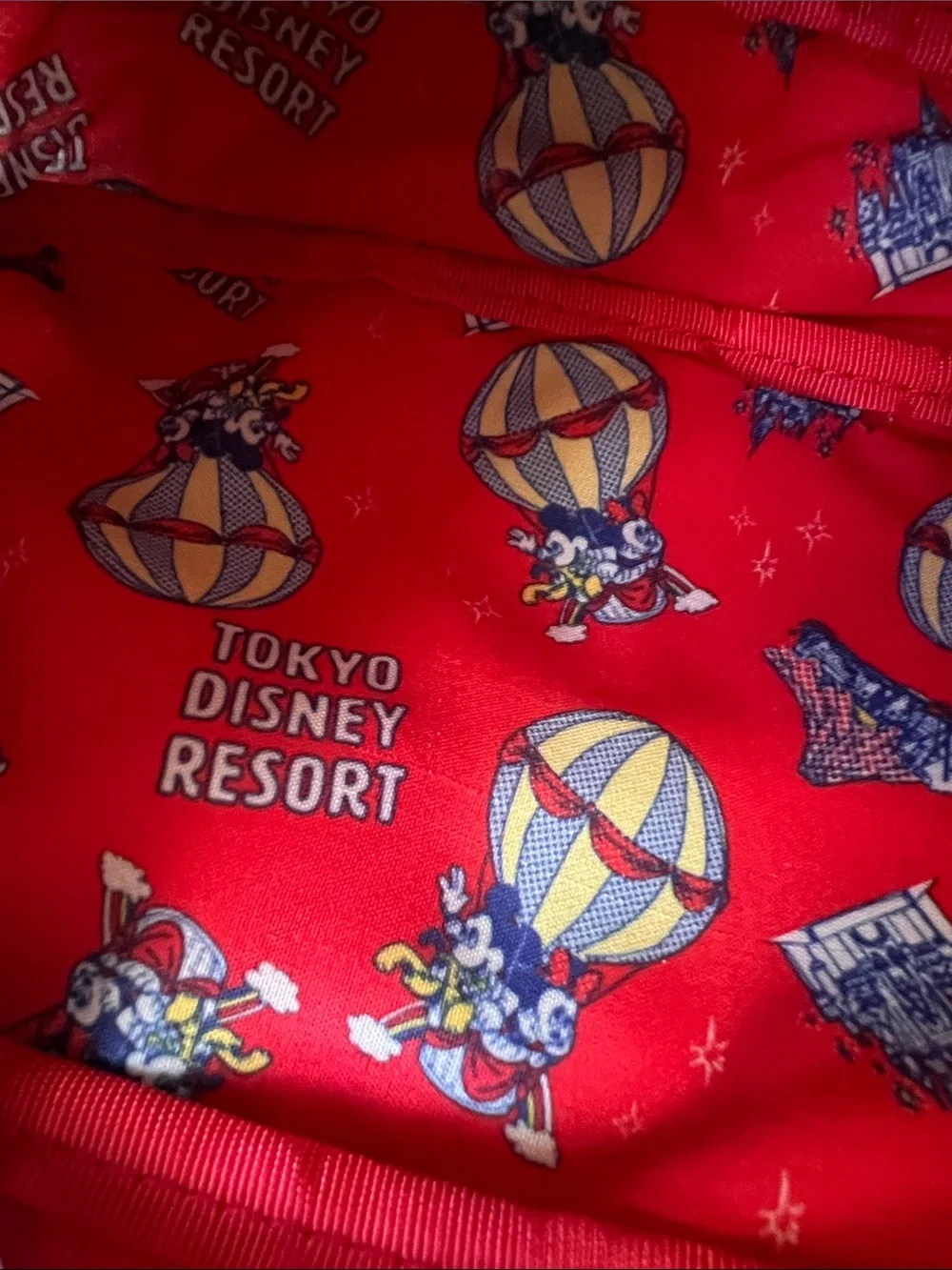 NWT Tokyo Disneyland Resort Pouch